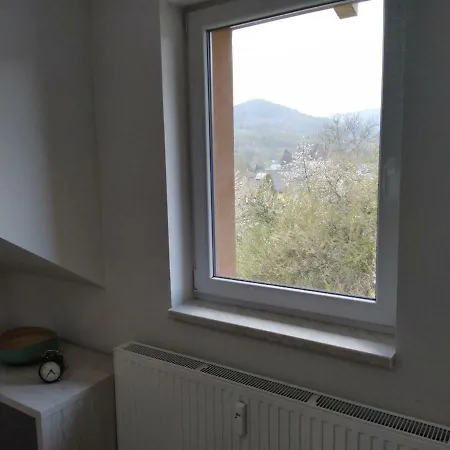 Apartman Pod Medvedi Horou Loucna nad Desnou Exterior photo