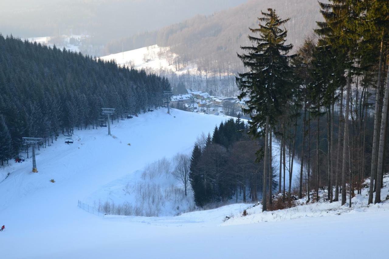 Apartmán Pod Medvědí Horou Loučná nad Desnou
